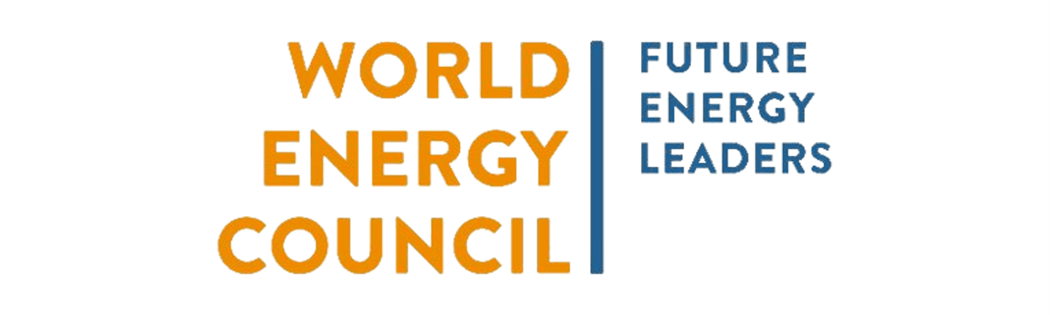 Future Energy Leaders (FEL100)